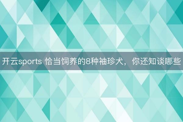 开云sports 恰当饲养的8种袖珍犬，你还知谈哪些