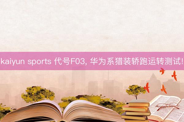 kaiyun sports 代号F03, 华为系猎装轿跑运转测试!